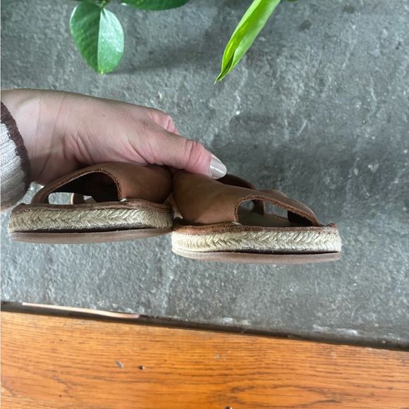 PONS - Picture 3 of 3